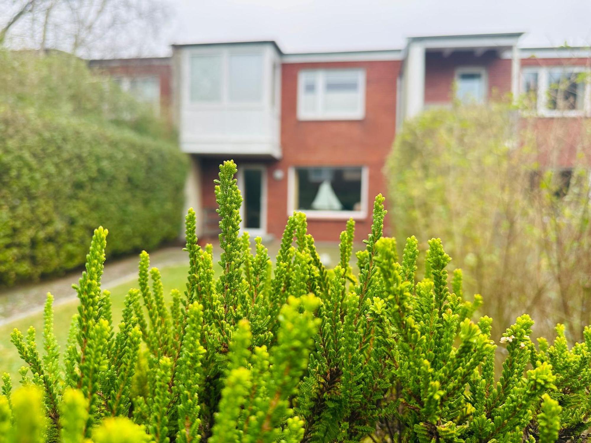 Haus Helma - Wohnen Sie Familiaer Villa Westerland Exteriör bild